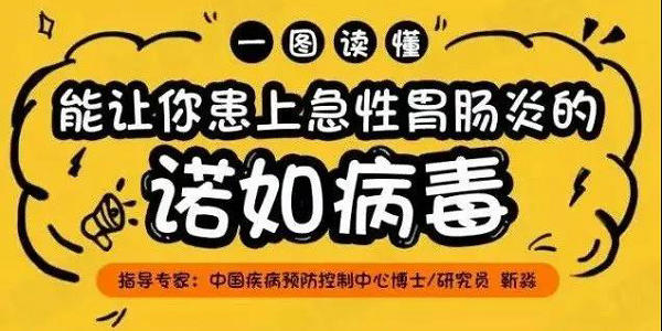 一圖讀懂！預(yù)防諾如病毒這樣做 | 安全公開課